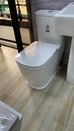 Executive Wc With Basin and Pedestal Complete Set White