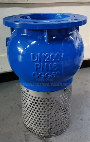 Dn 200 Iron Footvalve