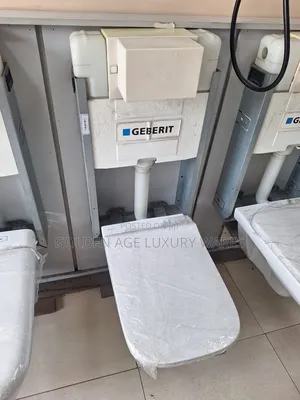 Geberit Concealed Wc