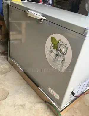 Bona Dc Freezer 318l (24v)