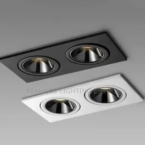 Double Eye Recess Light