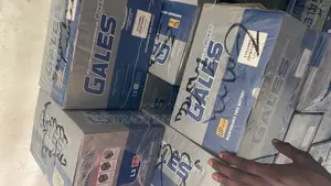 75ah Battery With Swap