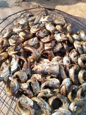 Dried Fresh Bushmeat And Dried Panla Fish