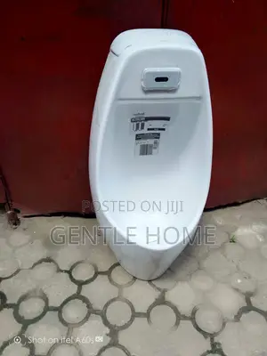 Sensor Urinal Bowl