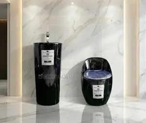 Black Smart Toilet Seat With Standing Basin