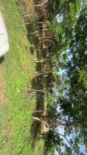 Land Available for Sell on Kekeyeju Olorishaoko Moniya Ibadan