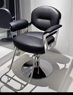 Salon Chair
