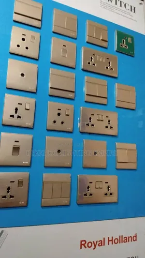 Gold Switch And Socket