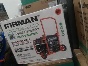 Firman Eco3990es Ecological Generator - Electric Recoil Start