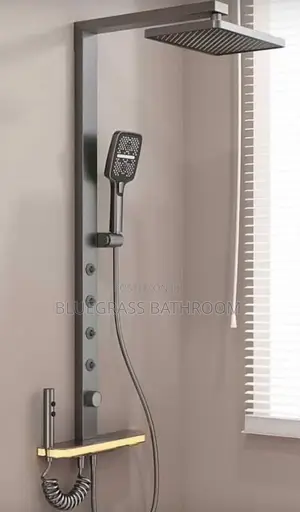 Executive Shower Mixer