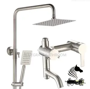 Chrome Shower