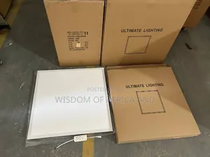 600x600 Ceiling Light