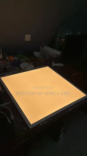 600x600 Ceiling Light