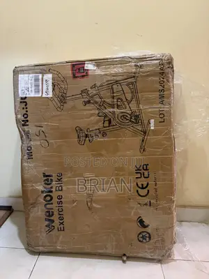 Wenoker Exercise Bike