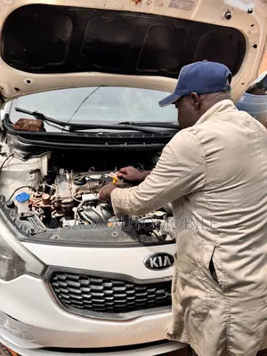 Kia and Hyundai Specialist