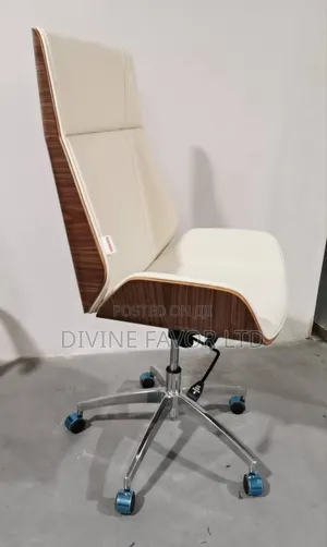 Luxury Office Chair