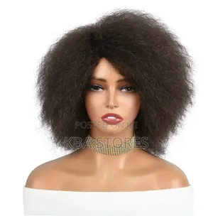 Afro Short Ladies Wig