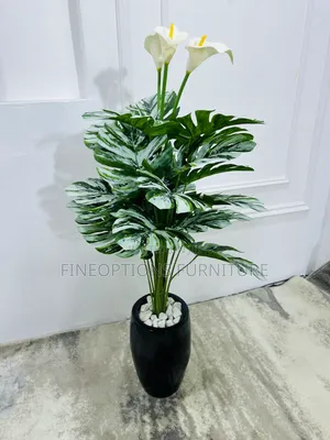 Statement Plant