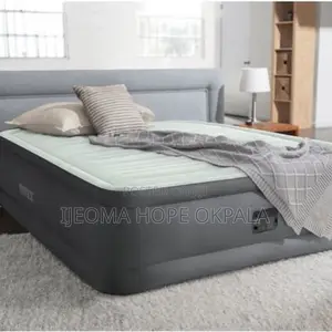 Intex Premaire I Queen Air Mattress With a Built-in Pump.