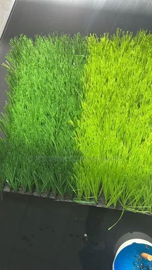 Football Pitch Grass