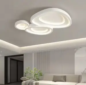 Luxury Ceiling Flosh Light