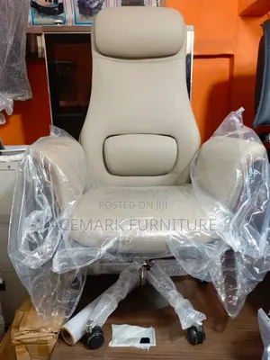 Executive Ergonomic Office Chair