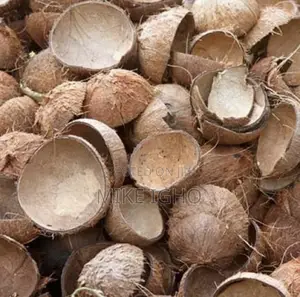 Coconut Shells