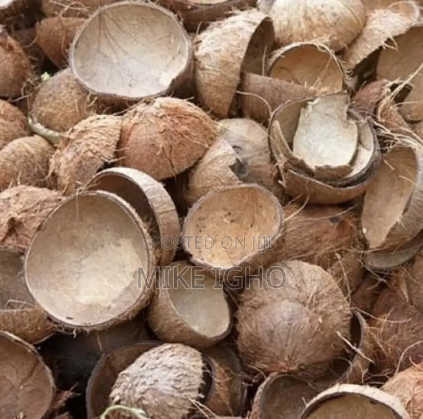 Coconut Shells
