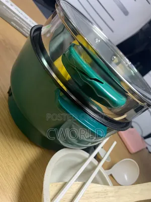 Multi Function Electric Cooking Pot With Steamer