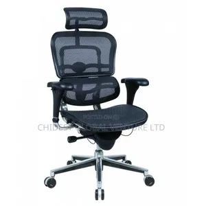 Ergohuman Chair