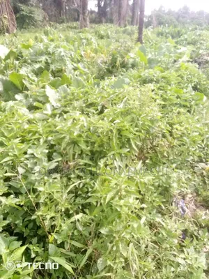 12 Plot of Land for Sale at Eliozu Portharcourt