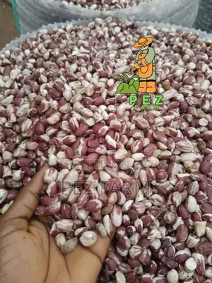 Kampala Groundnut