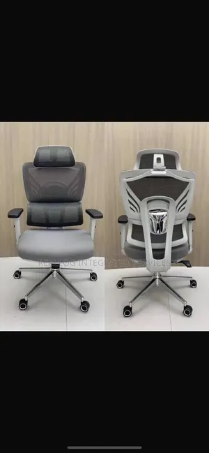 Ergonomic Office Chair
