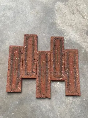 South Africa Bricks for Your Interior and Exterior Wall