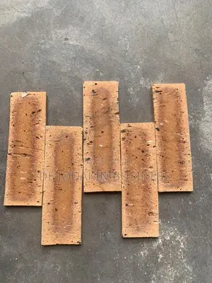 South Africa Bricks for Designing Wall