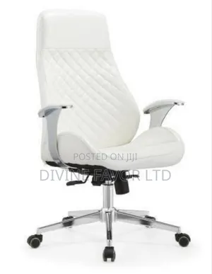 Branch New Leather Executive Office Chair in Lagos