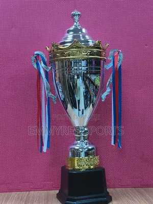 Premium Trophy Awards For Sports, School Events Competitions