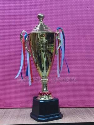 Beautiful Trophy Cups For Winners, Champions Award Ceremonies