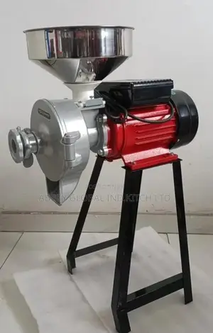 Wet and Dry Grinder