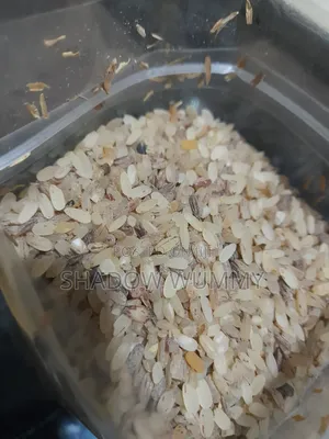 Ofada Rice