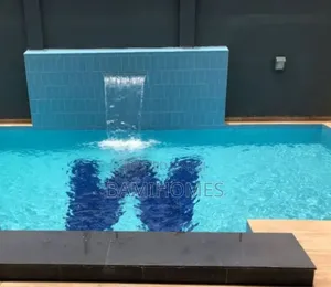 Professional Swimming Pool Cleaner
