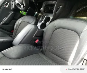 Hyundai Tucson Limited FWD 2011 Gray