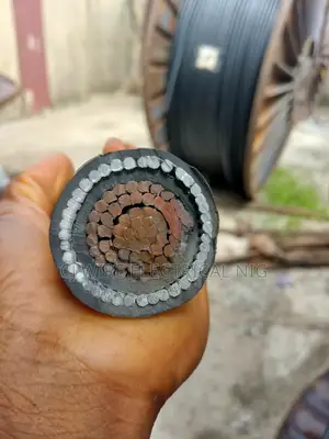 300mm Single Core Armored Cable