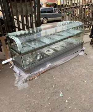 Imported Food Warmer