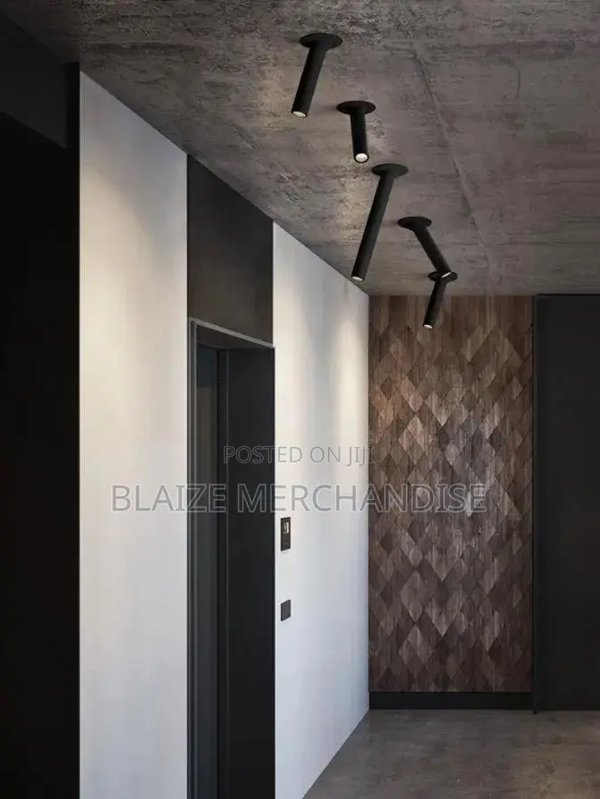 Adjustable Ceiling Pop Light