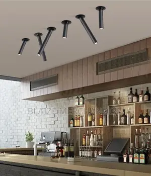 Adjustable Ceiling Pop Light