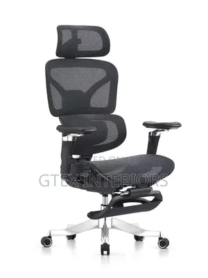 Mesh Executive Office Chair