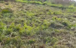250sqm of Land ( Half Plot) at Hill-Top Estate, Ikola