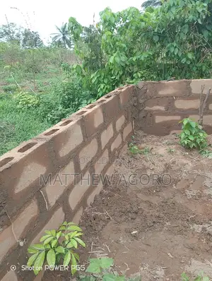 Hot Deal: Affordable Verified Land in the Fast-Growing Ui/Iita Axis