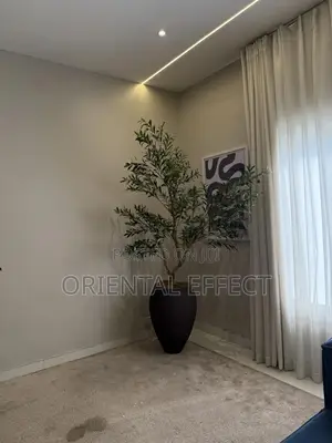 Luxury Home Decor Olive Tree Flower Pot | Interior Design Nigeria